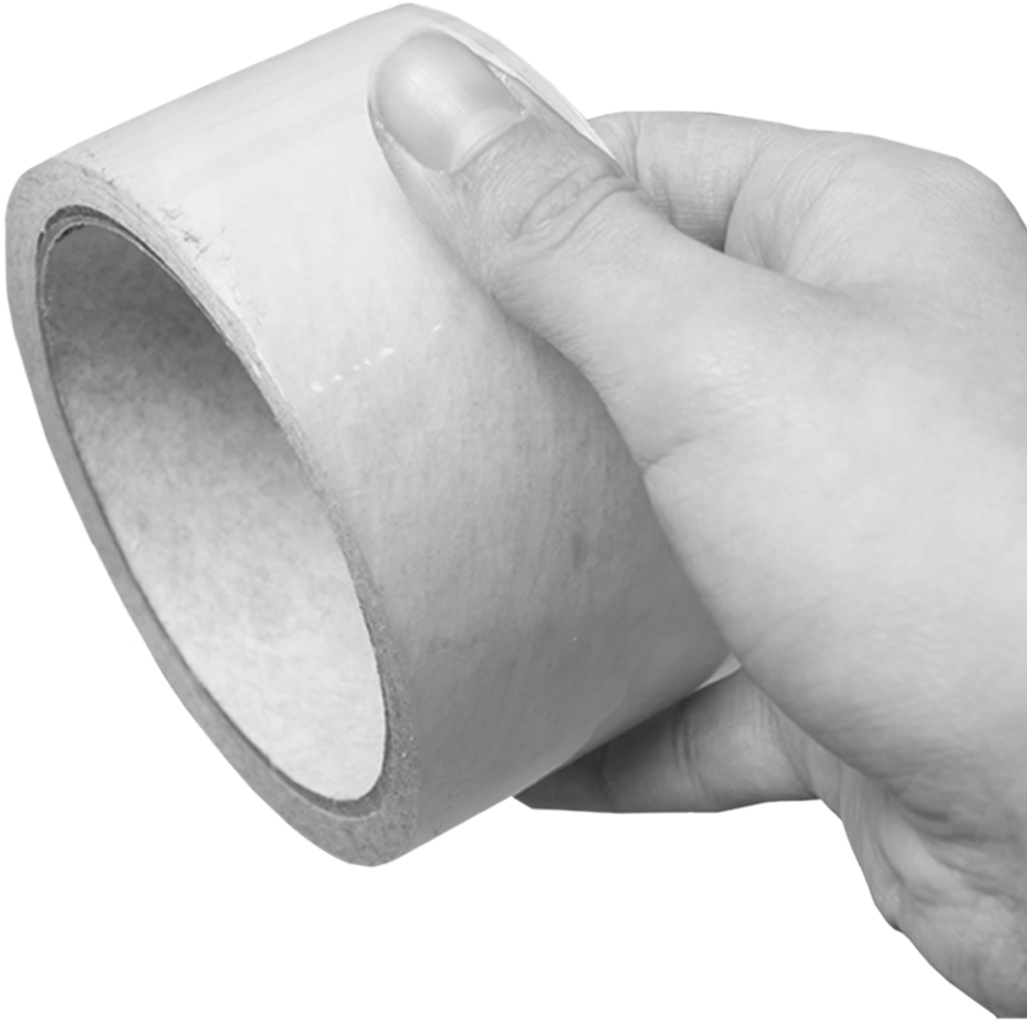 Mão